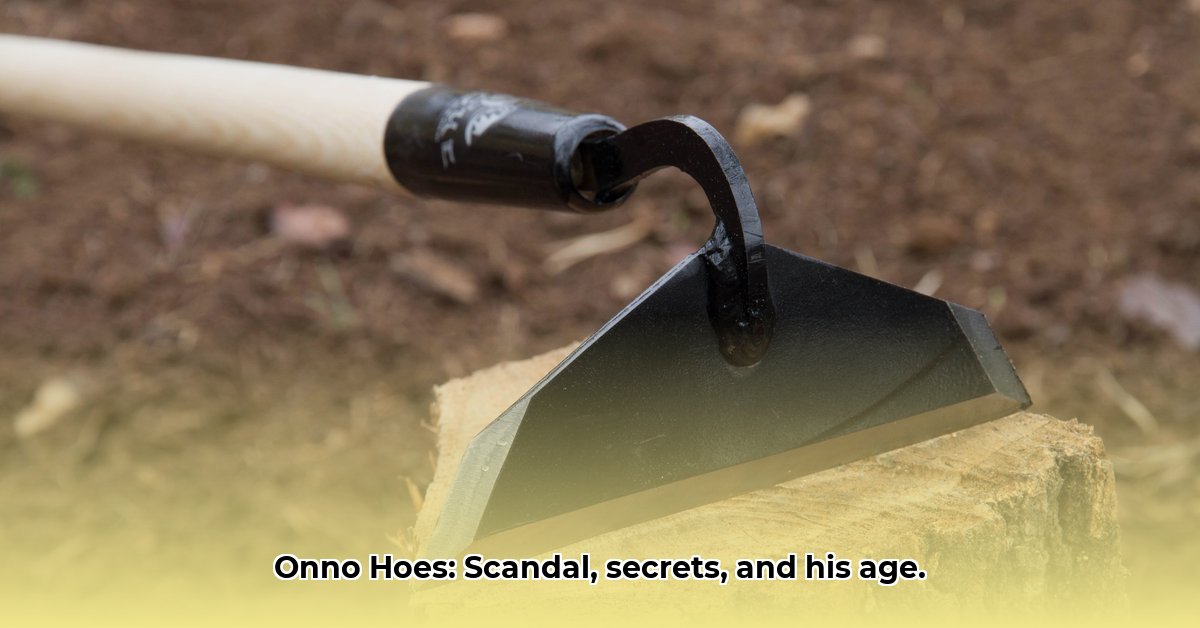 hoe-oud-is-onno-hoes